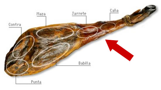 Teile oder Bereiche von Jamon Serrano